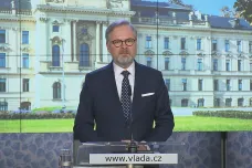 Vláda posunula ratifikaci Istanbulské úmluvy do sněmovny