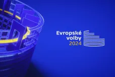 Evropské volby budou hlasováním o migraci, bezpečnosti i „referendy“ o vládách
