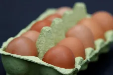 EU zavede cla na některé zemědělské produkty z Ukrajiny, pokud se jich bude dovážet moc