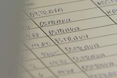 Vnitro zkontroluje hlasy uchazečů o prezidentskou funkci, jména oficiálně oznámí 25. listopadu