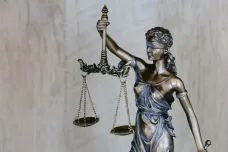 Žalobce pustil z vazby podnikatele Špringla obviněného v kauze armádní zakázky