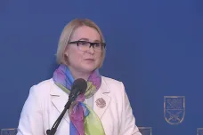 Hodnota licencí pro export zbrojní techniky na Ukrajinu dosáhla 117 miliard, oznámila Černochová