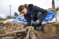 Archeologové našli ve Vídni kostry 150 legionářů. Zemřeli při katastrofě