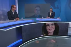 Případ Rohanové může pomoci k upřesnění pravidel, myslí si politolog. Podle ústavního právníka by se zákon měl upravit