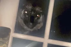 Od Blair Witch po dinosaury v Chicagu. Strašidelné příběhy se od táboráků přesunuly na internet