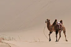 Mongolskou plošinu čeká oteplování a vysychání. Hrozí začarovaný kruh, ukazuje výzkum