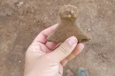Smiřice mají svou venuši. Hlavičku vystupující z keramické nádoby objevili archeologové u nádraží