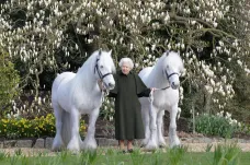 Alžběta II. slaví 96. narozeniny. Británie se chystá na oslavy asi posledního kulatého jubilea její vlády