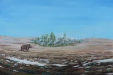 Teplomilné stromy přežily dobu ledovou v oáze „moravského Yellowstonu“