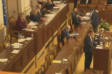 Migrační pakt je posun správným směrem, řekl Rakušan. Podle Okamury pětikoalice zradila zájmy občanů