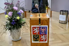 Tisíce Čechů v cizině letos hodlají hlasovat korespondenčně