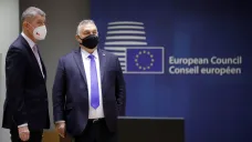 Andrej Babiš a Viktor Orbán