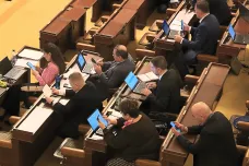 Zákonodárci by mohli v prezidentských volbách podpořit podpisem jen jednoho uchazeče, schválila sněmovna