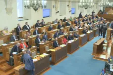 Horní komora neschválila Istanbulskou úmluvu. Senátoři debatovali až do nočních hodin